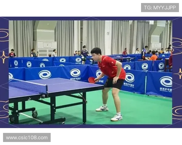 武汉乒乓球队的精神传承与训练理念深度解析